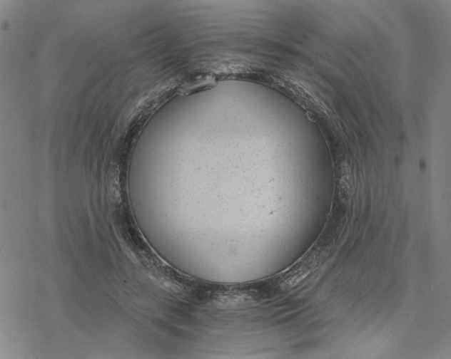 X0000076390547200610271555