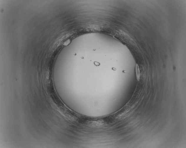 X0000076390548200610271555