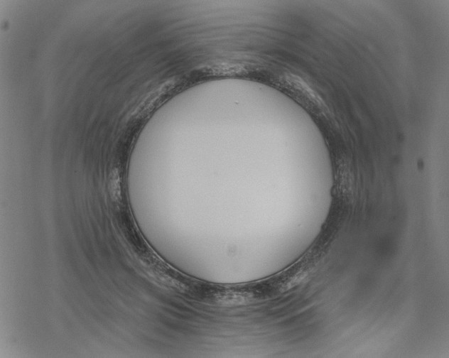 X0000076390549200610271555