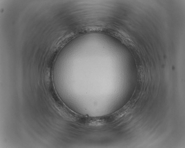 X0000076390550200610271555