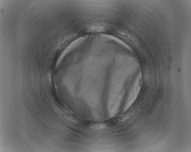 X0000076390551200610271555