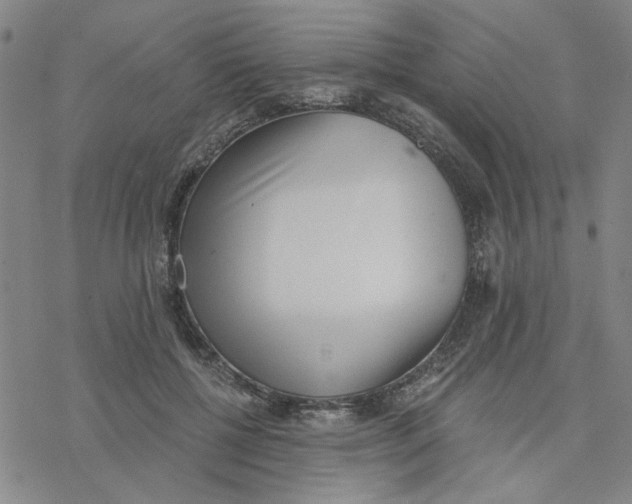 X0000076390552200610271555