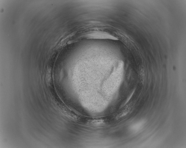 X0000076390554200610271555