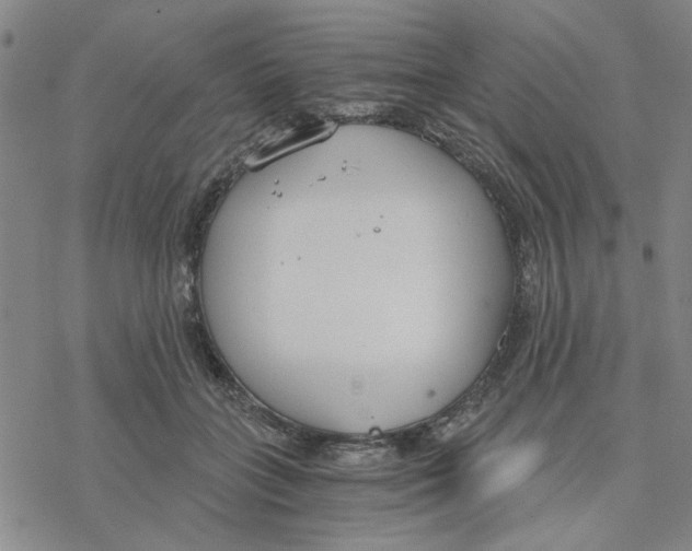 X0000076390555200610271555