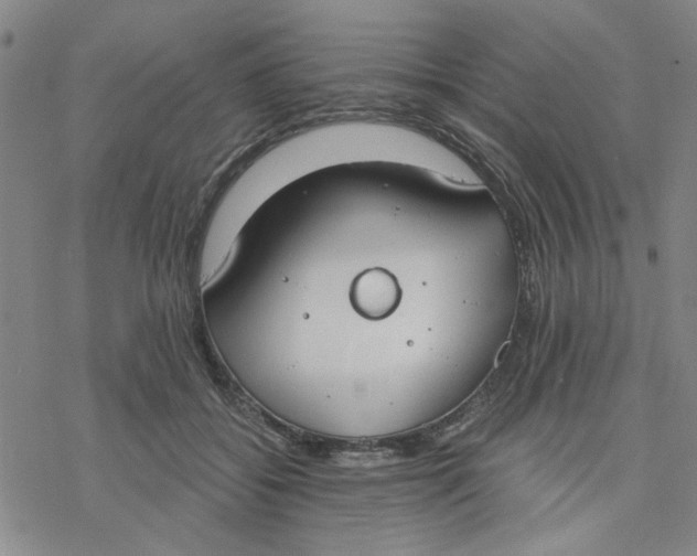 X0000076390556200610271555