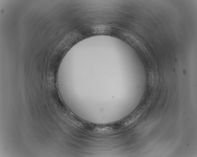 X0000076390557200610271555