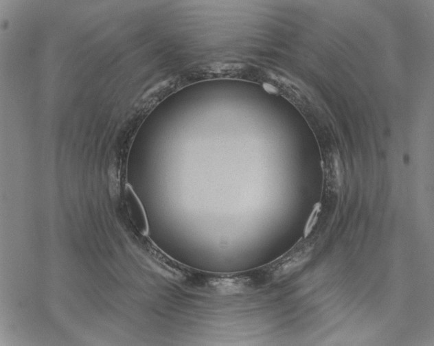 X0000076390558200610271555