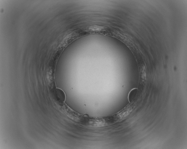 X0000076390559200610271556