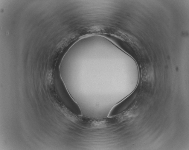 X0000076390560200610271556