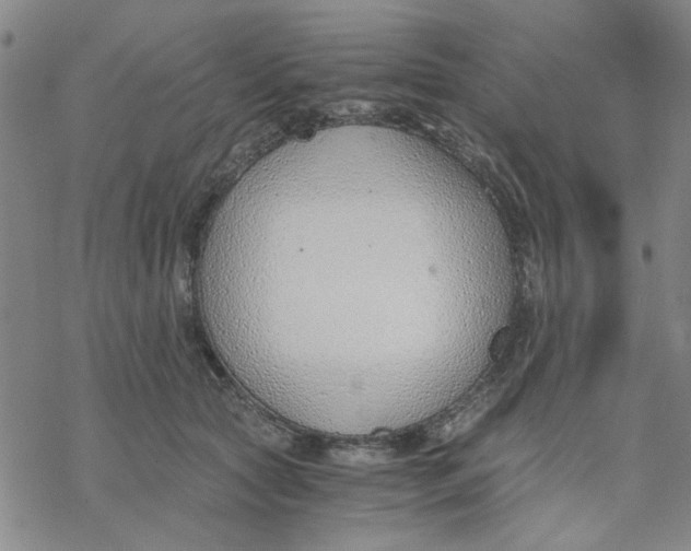 X0000076390561200610271556