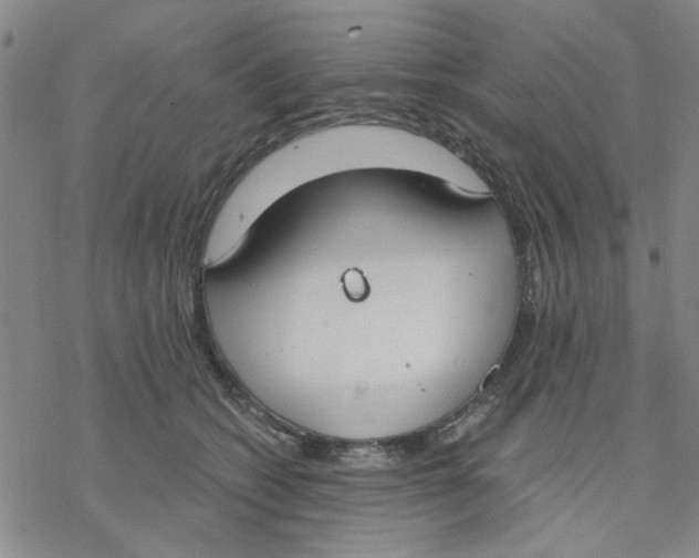 X0000076390562200610271556