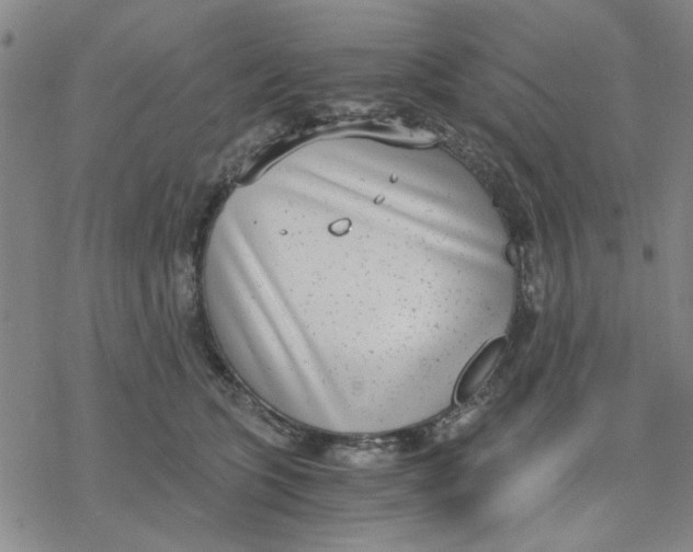 X0000076390563200610271556