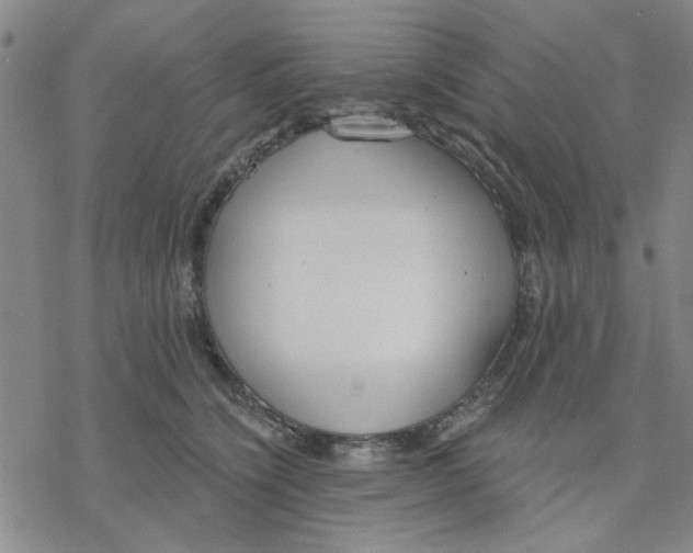 X0000076390564200610271556