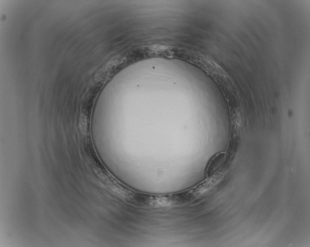 X0000076390565200610271556