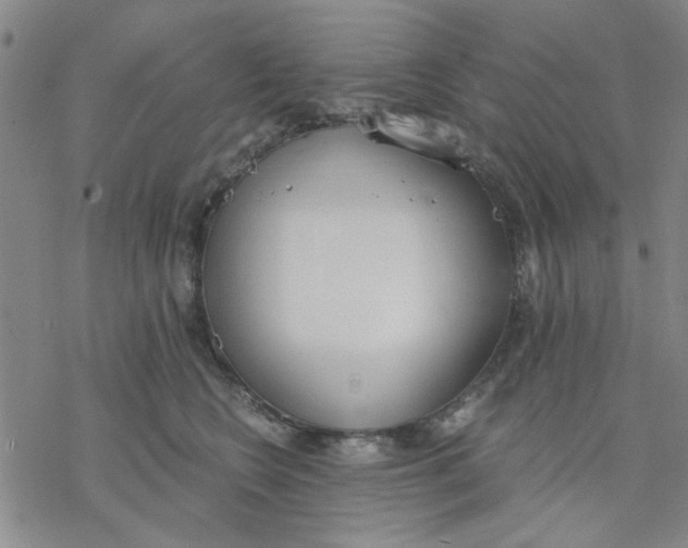 X0000076390566200610271556