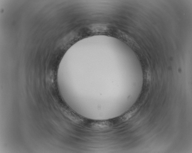 X0000076390567200610271556