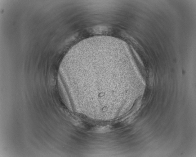 X0000076390569200610271556