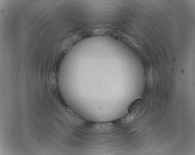 X0000076390571200610271556