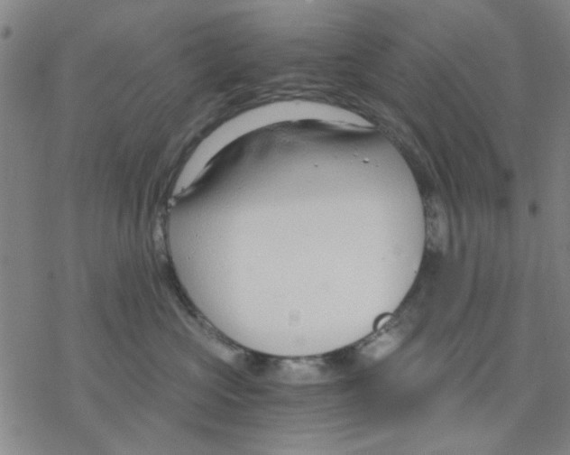 X0000076390573200610271556