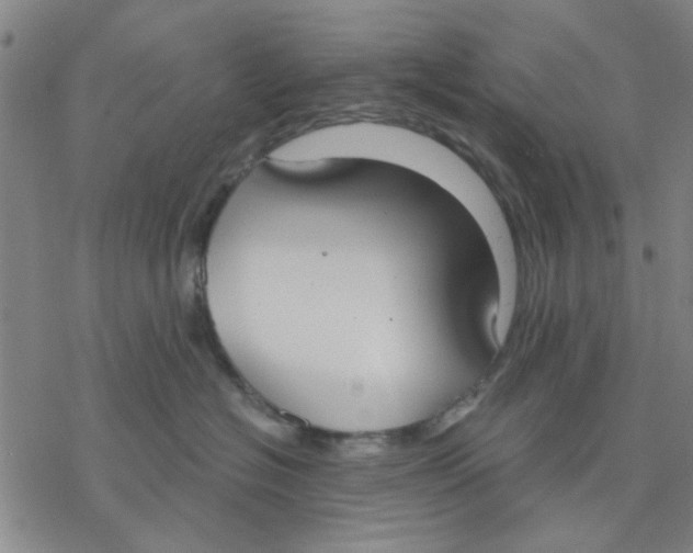 X0000076390574200610271556