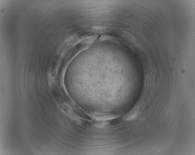 X0000076390576200610271556