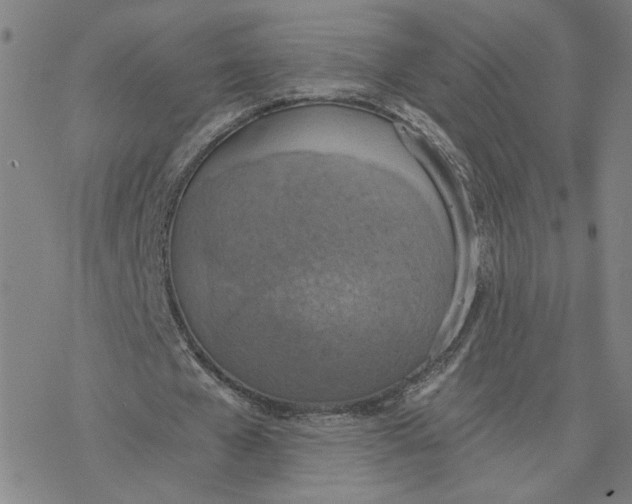 X0000076390577200610271555