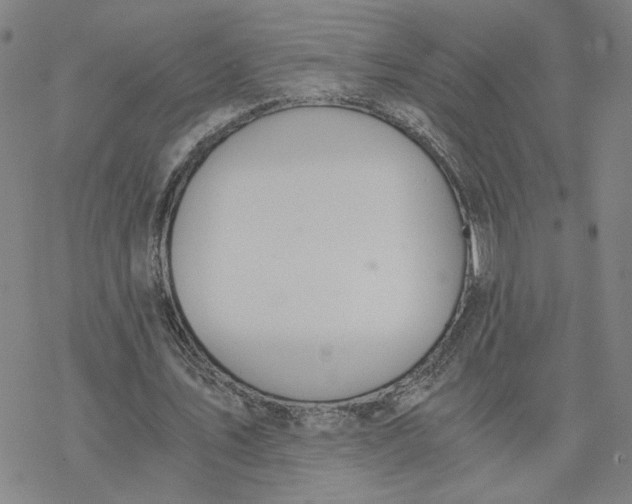 X0000076390579200610271555