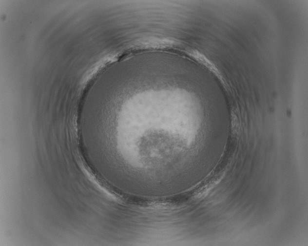 X0000076390581200610271555