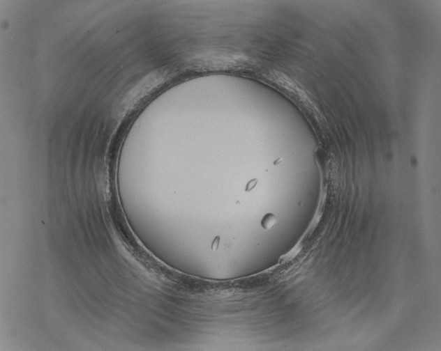 X0000076390582200610271555