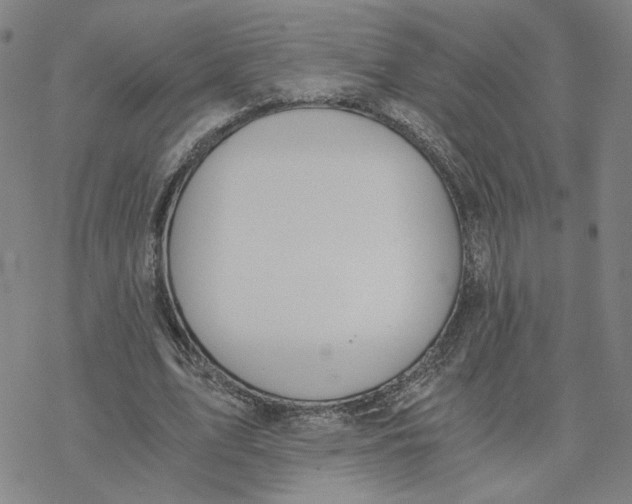 X0000076390583200610271555