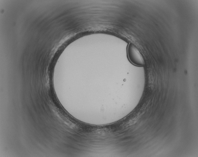 X0000076390584200610271555