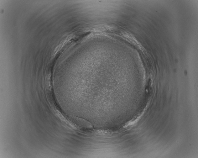 X0000076390585200610271555