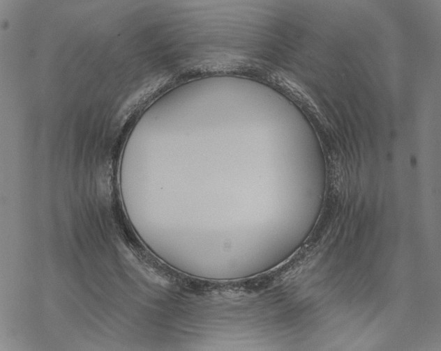 X0000076390586200610271555