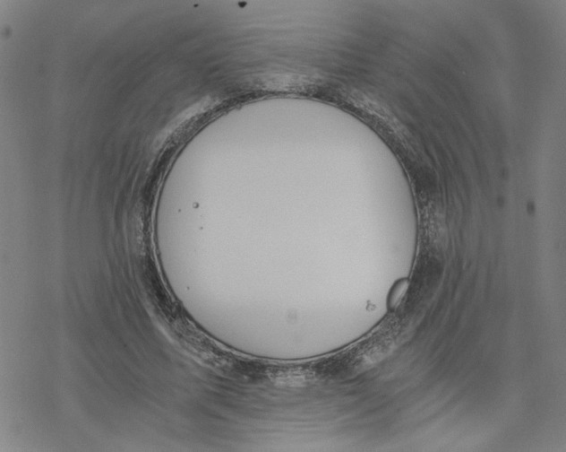 X0000076390587200610271555