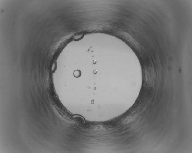 X0000076390588200610271555