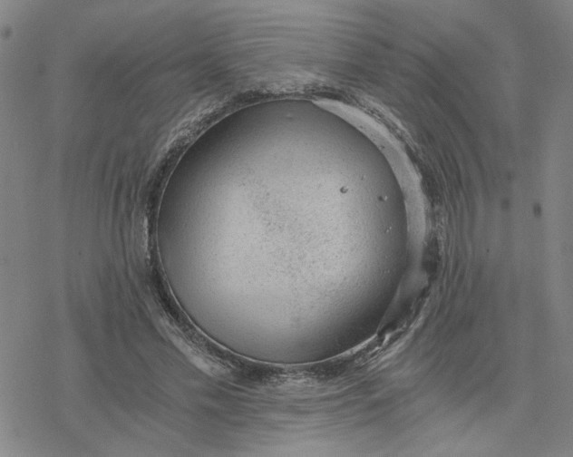 X0000076390589200610271555