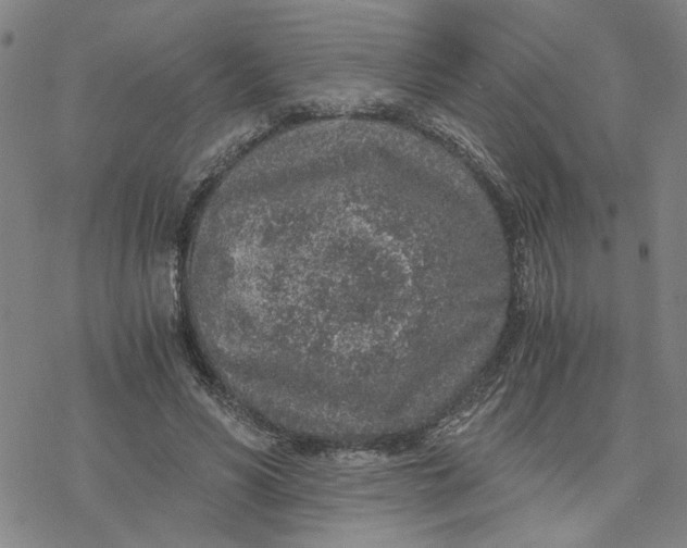 X0000076390590200610271555