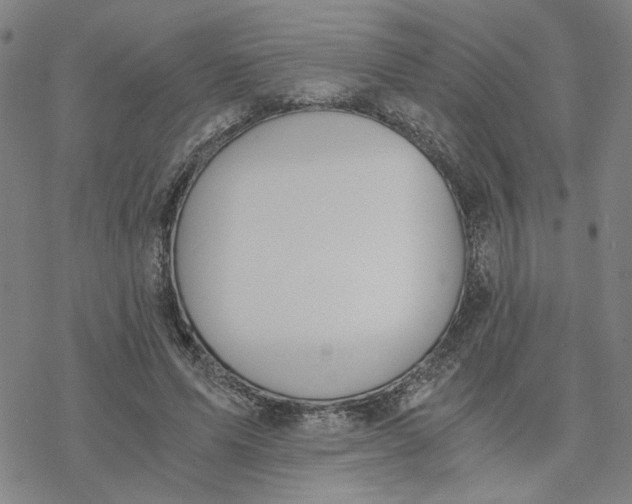 X0000076390591200610271555