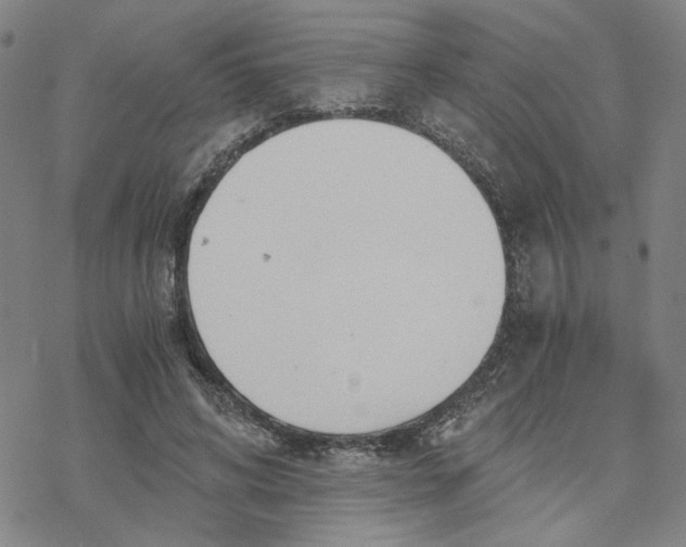 X0000076390592200610271555