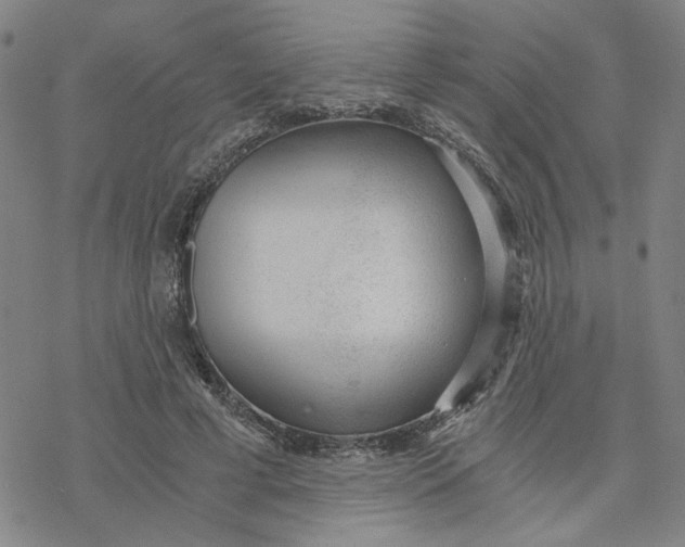 X0000076390593200610271555