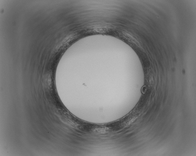 X0000076390595200610271555