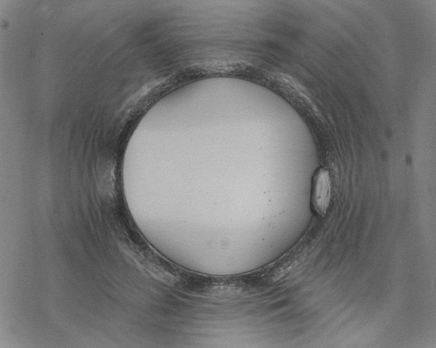 X0000076390596200610271555