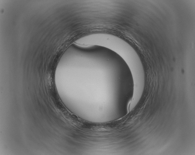 X0000076390597200610271555