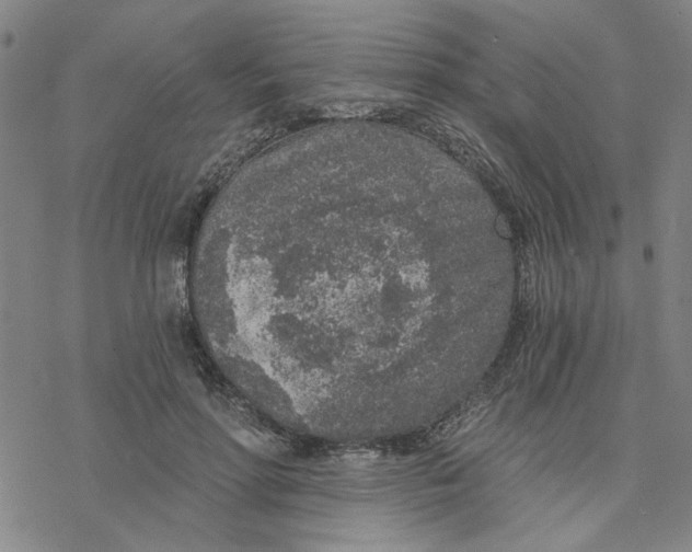 X0000076390598200610271555