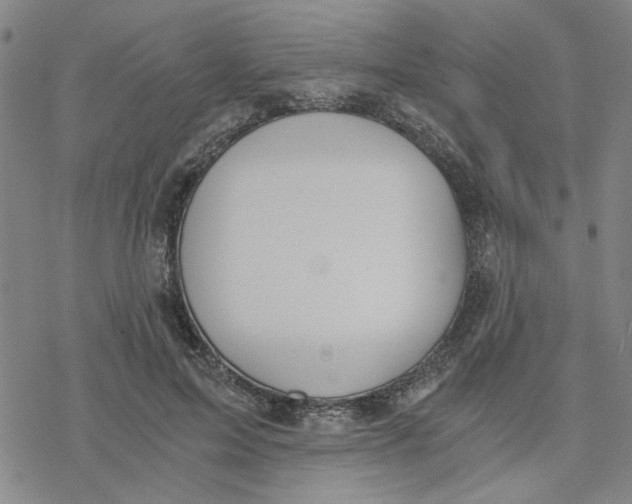 X0000076390599200610271555