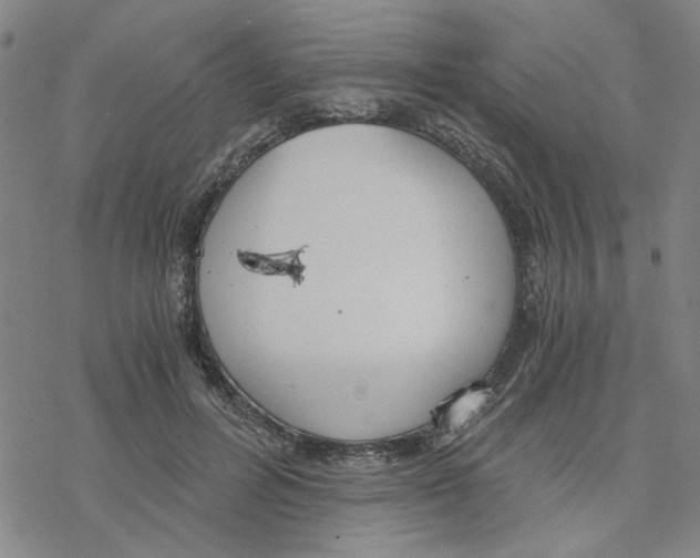 X0000076390600200610271555