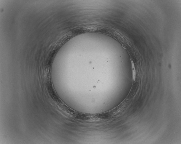 X0000076390601200610271555