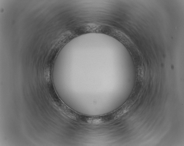 X0000076390602200610271555