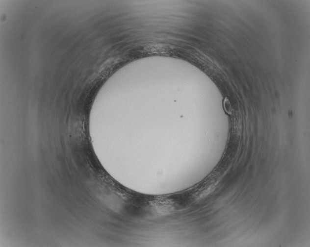 X0000076390603200610271555