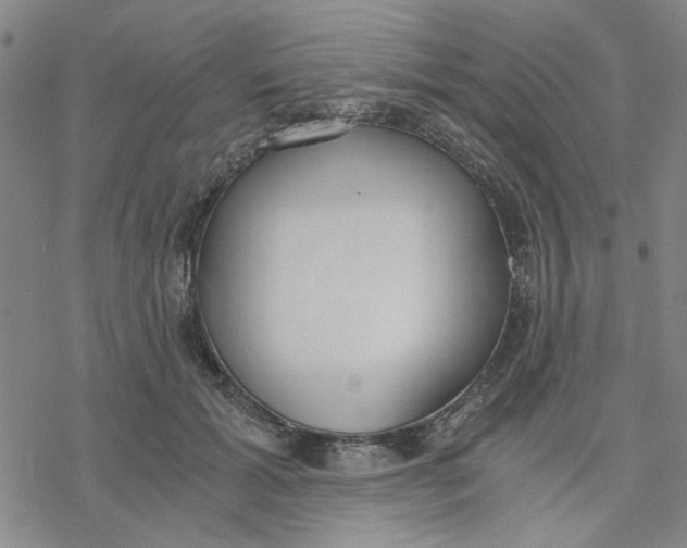 X0000076390605200610271555